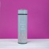 Термос &quot;What a big fruits&quot;, grey (400ml) 