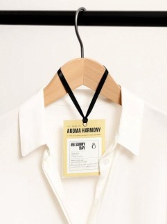 Саше ароматическое "№6 SUNNY DAY", 10 гр