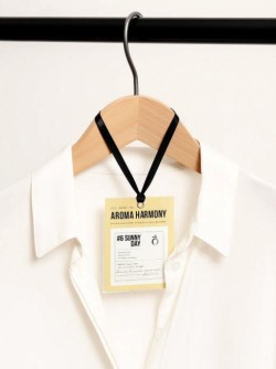 Саше ароматическое "№6 SUNNY DAY", 10 гр