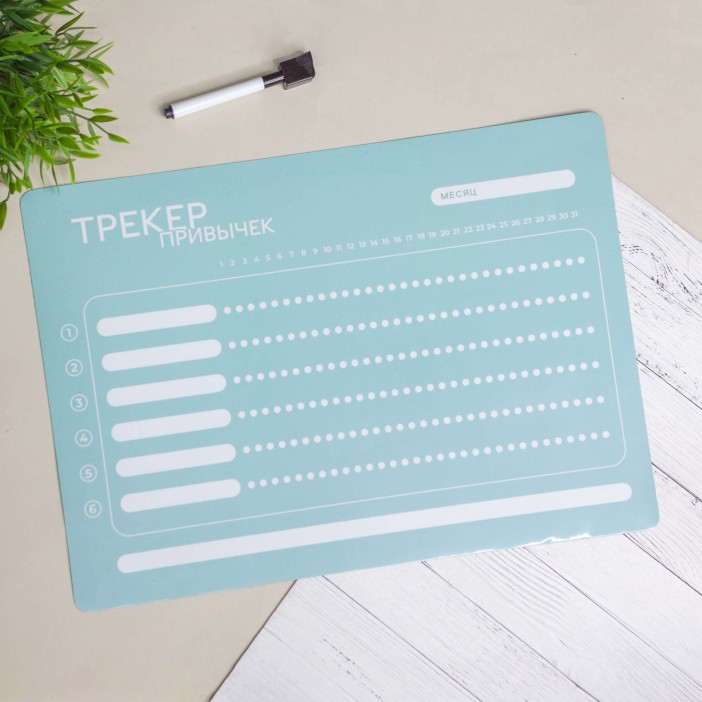 Магнитный планер "Трекер привычек", green-blue
