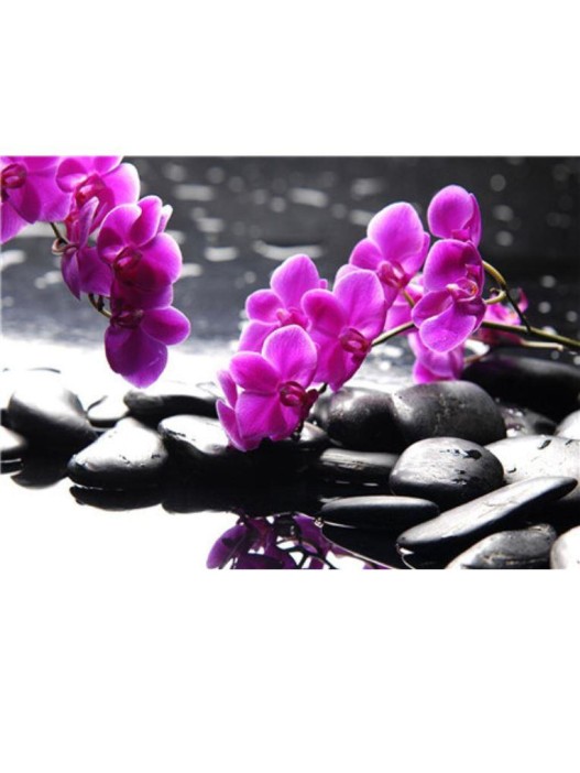 Алмазная мозаика без подрамника &quot;Сиреневая орхидея&quot;, 30х40 см 