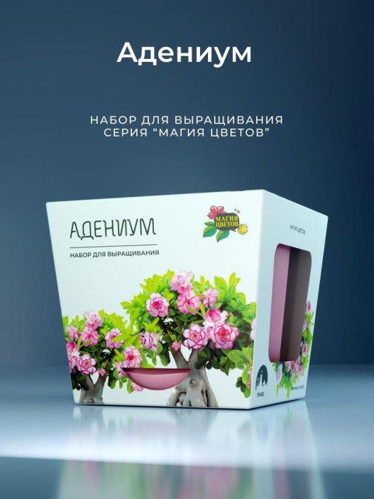 Набор д/выращивания &quot;Магия цветов&quot;, &quot;Адениум&quot; 