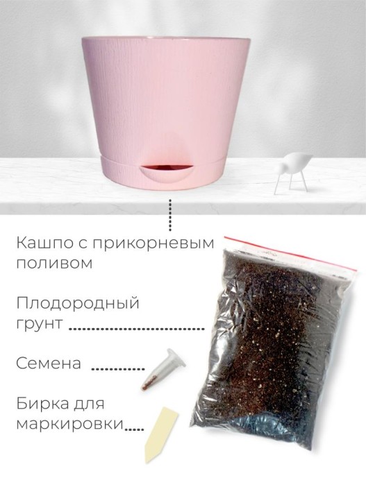 Набор д/выращивания &quot;Магия цветов&quot;, &quot;Адениум&quot; 