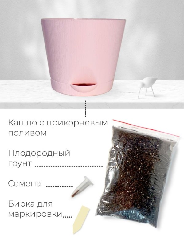 Набор д/выращивания "Магия цветов", "Адениум"