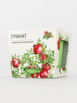 Набор д/выращивания "Магия цветов", "Гранат"