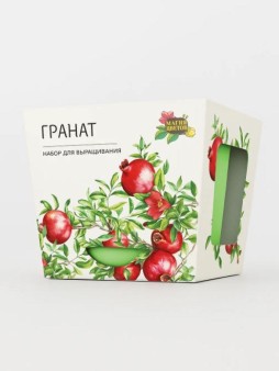 Набор д/выращивания "Магия цветов", "Гранат"