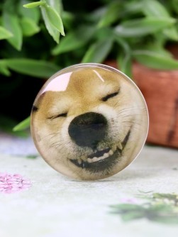 Попсокет "Spaca dog"