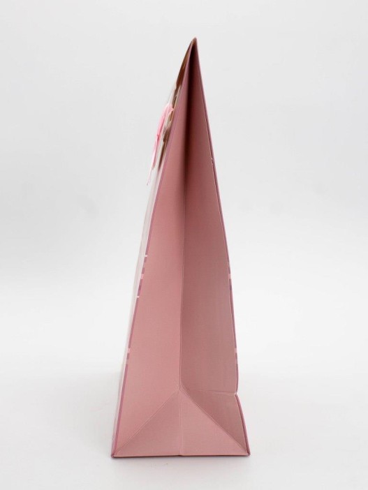 Пакет подарочный (M) "Simple plaid", brown (19x9x27) 