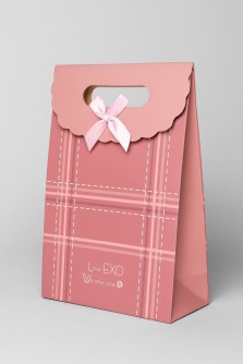 Пакет подарочный (M) "Simple plaid", brown (19x9x27)