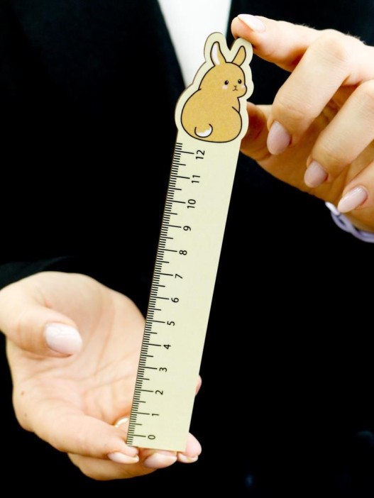 Линейка ECO из дерева Аниме «Hare» 