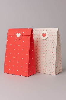 Набор подарочных пакетов+наклейки (6 шт.) "Love", 24*13*8