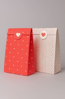 Набор подарочных пакетов+наклейки (6 шт.) "Love", 24*13*8