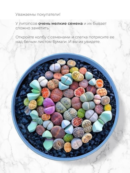 Набор д/выращивания &quot;Магия цветов&quot;, &quot;Литопсы микс (живые камни)&quot; 