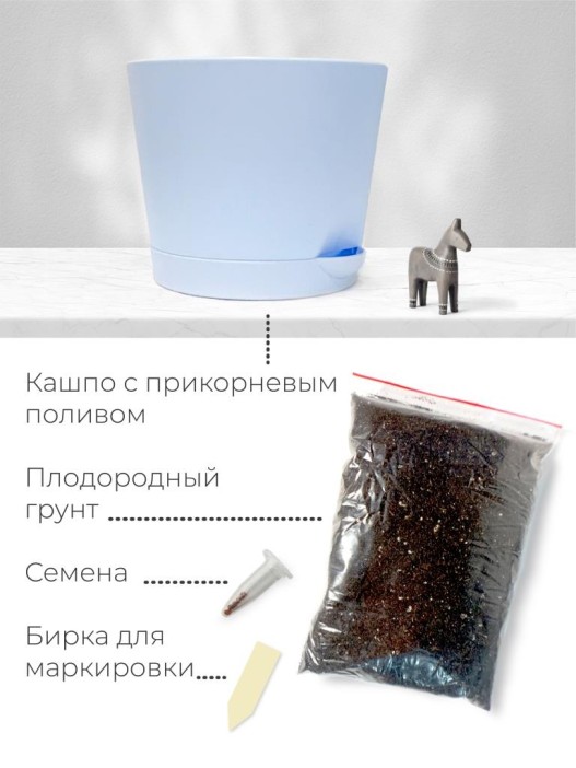 Набор д/выращивания &quot;Магия цветов&quot;, &quot;Литопсы микс (живые камни)&quot; 