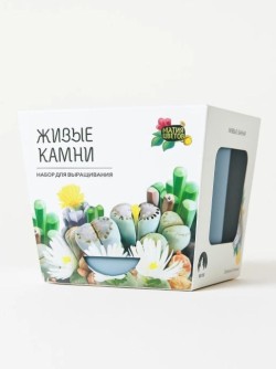 Набор д/выращивания "Магия цветов", "Литопсы микс (живые камни)"