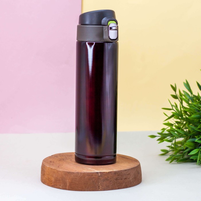 Термос "Everyone", brown (500 ml) 