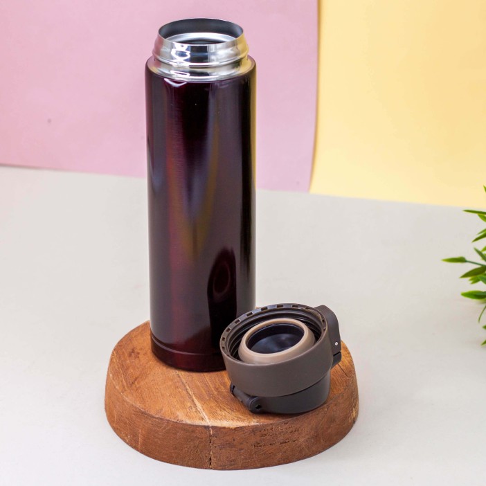 Термос "Everyone", brown (500 ml) 