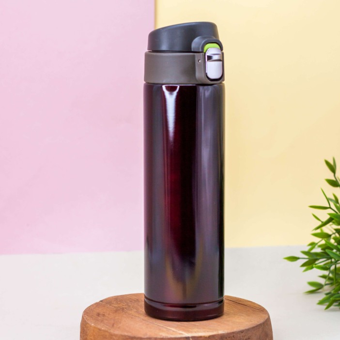 Термос "Everyone", brown (500 ml) 