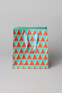 Пакет подарочный «Congratulations", green-red (23*23*20)