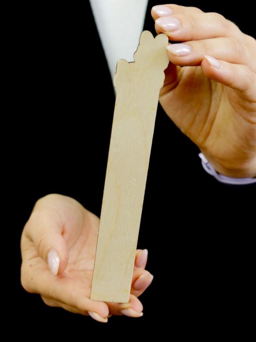 Линейка ECO из дерева Аниме «Lama» 