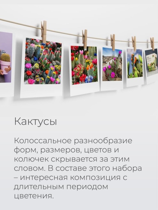 Набор д/выращивания &quot;Магия цветов&quot;, &quot;Микс кактусов&quot; 