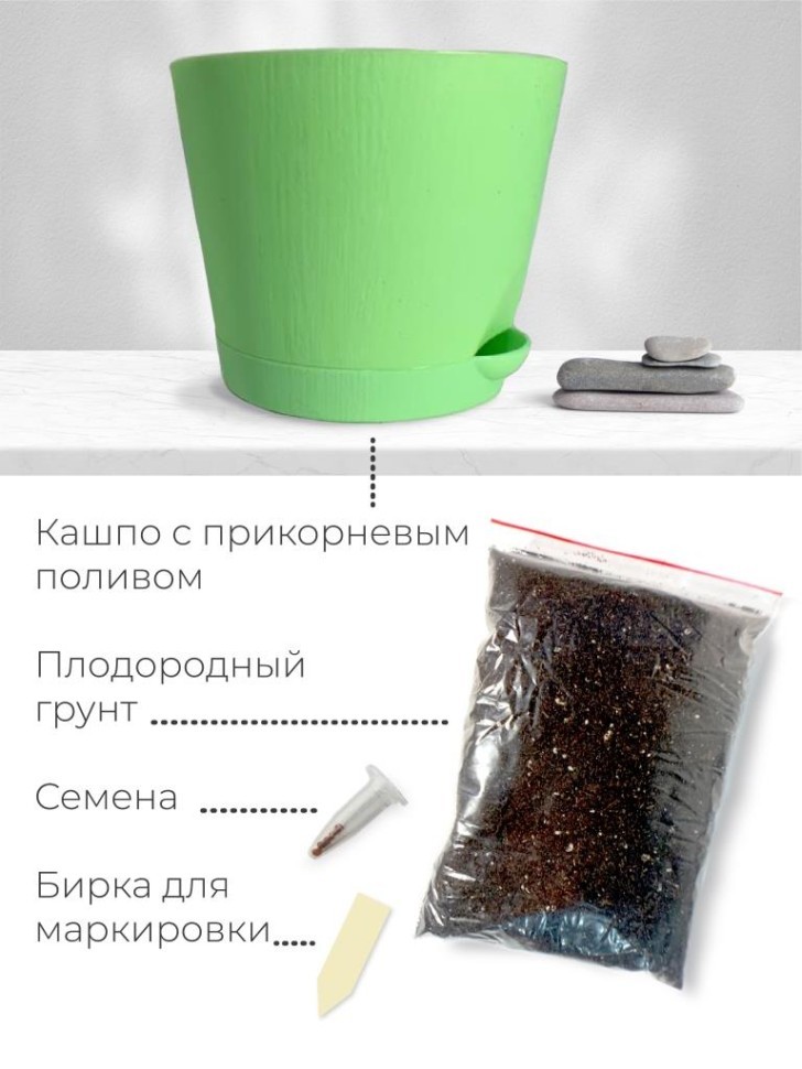 Набор д/выращивания "Магия цветов", "Микс кактусов"