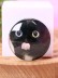 Попсокет iLikeGift "Cat grimacing", black 