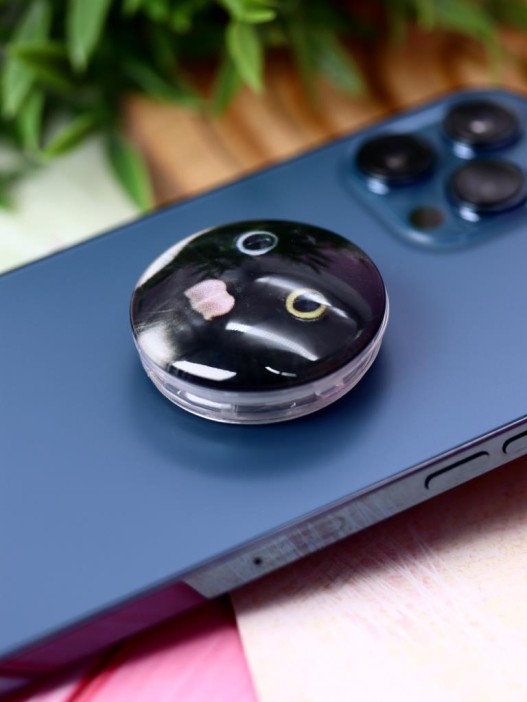 Попсокет iLikeGift "Cat grimacing", black 