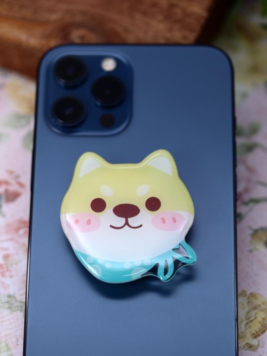 Попсокет "Educated boy" 