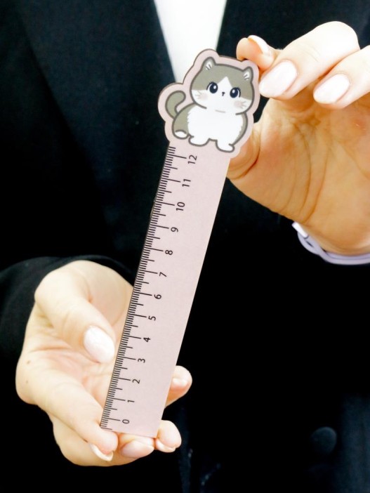 Линейка ЭКО из дерева iLikeGift Аниме «Милый кот» 