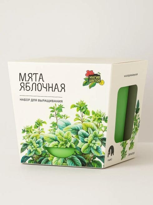 Набор д/выращивания &quot;Магия цветов&quot;, &quot;Мята яблочная&quot; 