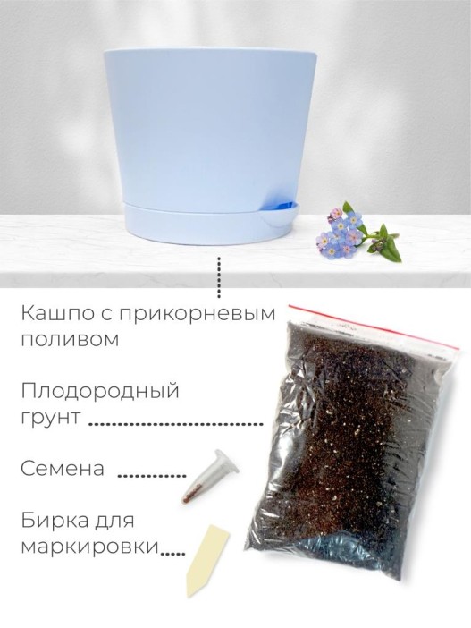Набор д/выращивания &quot;Магия цветов&quot;, &quot;Незабудка&quot; 