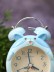 Часы-будильник «Hamster», blue