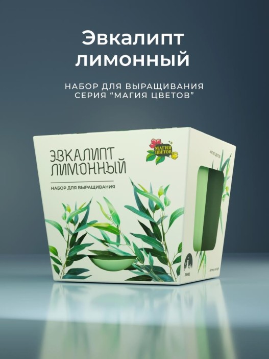 Набор д/выращивания &quot;Магия цветов&quot;, &quot;Эвкалипт лимонный&quot; 