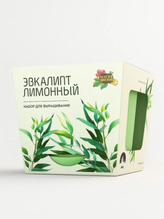 Набор д/выращивания &quot;Магия цветов&quot;, &quot;Эвкалипт лимонный&quot; 