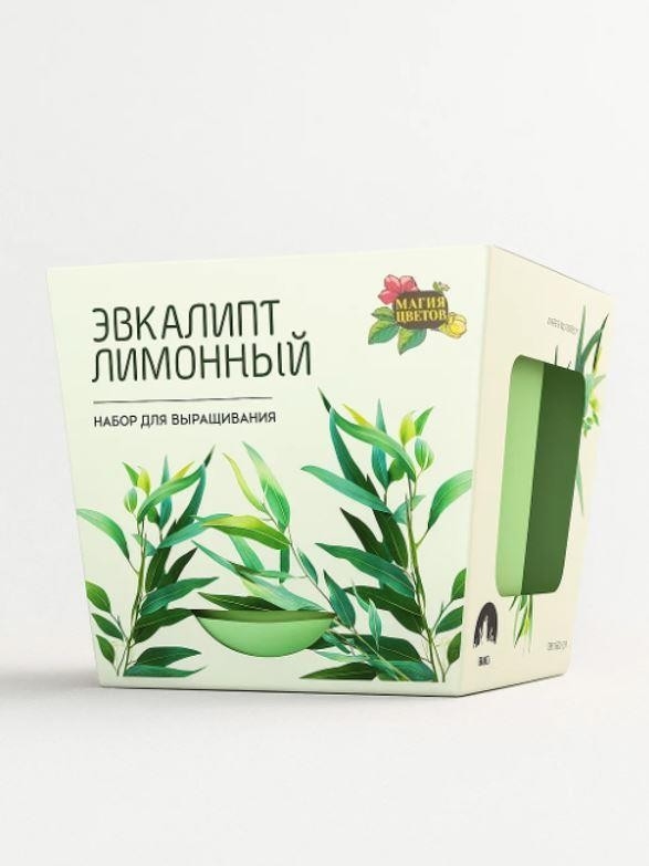 Набор д/выращивания "Магия цветов", "Эвкалипт лимонный"