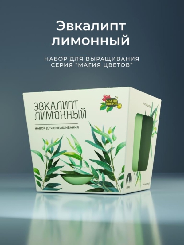 Набор д/выращивания "Магия цветов", "Эвкалипт лимонный"