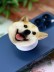 Попсокет &quot;Smile dog&quot; 