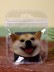 Попсокет &quot;Smile dog&quot; 