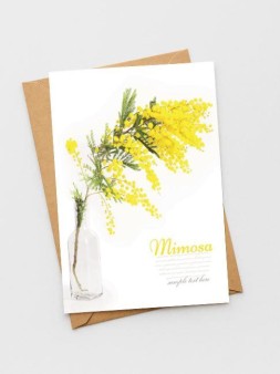 Набор открыток 5 шт. «Мимоза», 10*15 см