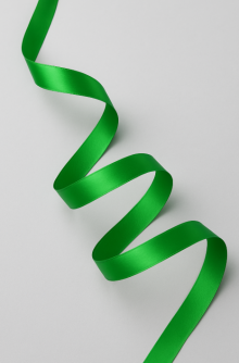 Лента для декора и подарков "Ribbon of Joy", green (2,5 см*1 м)