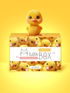 MilotaBox &quot;Duck Box&quot;