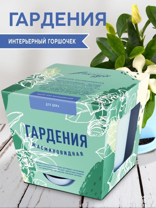 Набор д/выращивания &quot;Тысяча листьев&quot;, &quot;Гардения жасминовидная&quot; 