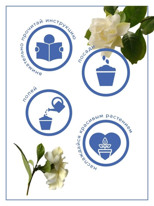 Набор д/выращивания &quot;Тысяча листьев&quot;, &quot;Гардения жасминовидная&quot; 