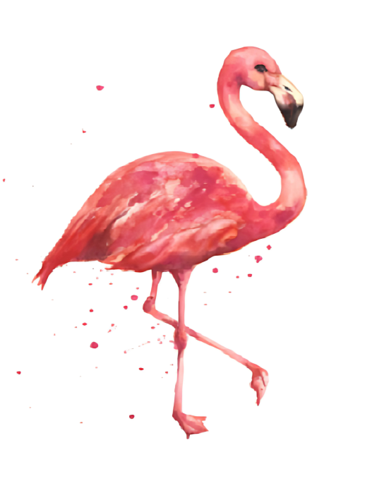 Алмазная мозаика без подрамника &quot;Фламинго 2&quot;, 15х20 см 
