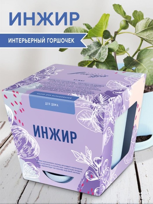 Набор д/выращивания &quot;Тысяча листьев&quot;, &quot;Инжир&quot; 