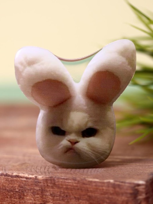 Попсокет iLikeGift "Angry cat" 