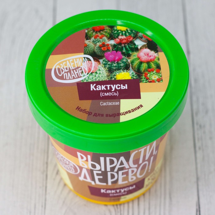 Набор для выращивания &quot;Кактусы&quot; 