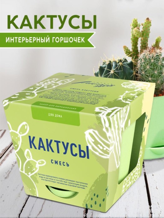 Набор д/выращивания &quot;Тысяча листьев&quot;, &quot;Кактусы&quot; 