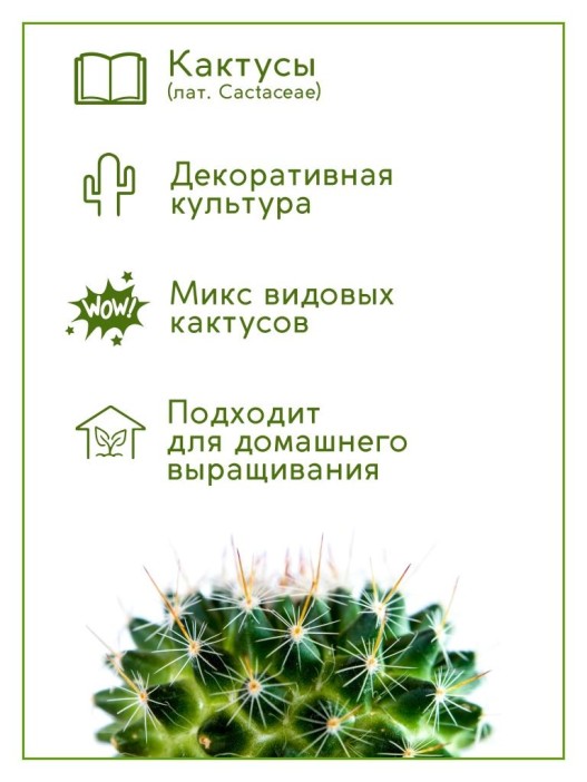 Набор д/выращивания &quot;Тысяча листьев&quot;, &quot;Кактусы&quot; 